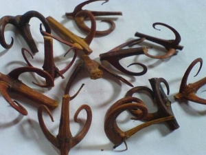 ���ٵĹ�Ч�����ü�����