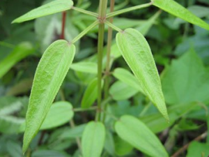 ��ݵĹ�Ч������ ��ݵ�����