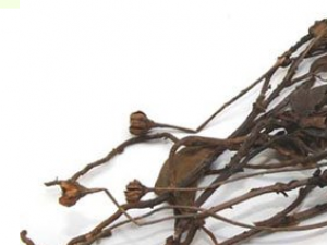 ¹�βݵĹ�Ч���� ¹�βݵ��÷�