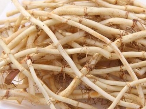 ���ȲݵĹ�Ч�����ü�����