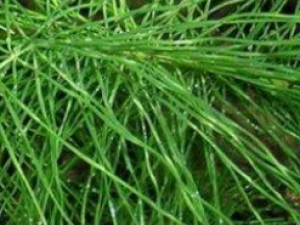 ���ʾ��Ĺ�Ч���� ���ʾ����÷�