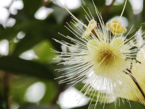 ���ҵĹ�Ч������ ���ҵ��÷�������