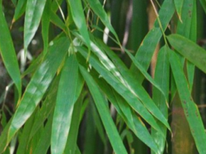 �����������ʺ�ÿһ���� �԰�����Ҫע��