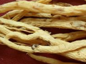 �����������ѷ��ļ��� ϴͷ�����ĳ�����������Щ