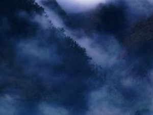 ������������� ������������