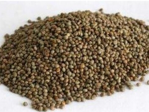 ���ҵĹ�Ч������ ���ҵĸ���