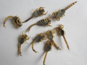 ȫЫ�Ĺ�Ч�����ü�����