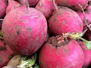 ��������Ӫ����ֵ ��������ʳ�÷���