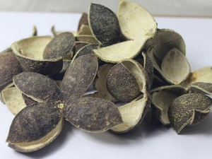 ��ζ˳��ɢ���� ��ζ˳��ɢ��Ч ��ζ˳��ɢ��������