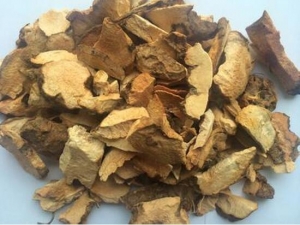 ���������� ��������Ч ��������������