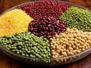 �ĸ�Ƣ������α���