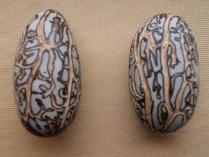 ǧ������������� ǧ���������ô���ó�