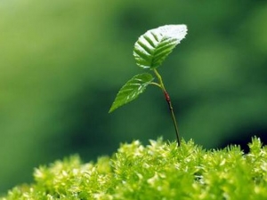 ���������ķ��� ����������ע������