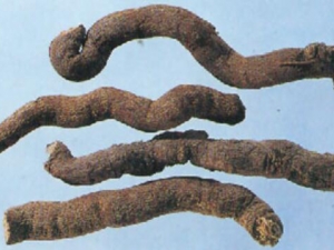 ��ľ��ļ��𷽷�