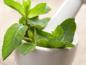 ����Ҷ�Ĺ�Ч������ ���ɢ�� ��ͷĿ���ʺ�