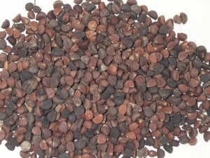 �Ͷ�˪�Ĺ�Ч������ �Ͷ�˪�ĸ���