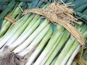 ��ʵ�Ĺ�Ч���� ��ʵ�Ĺ�������