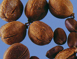 ����������Ĺ�Ч���� ������������÷�����