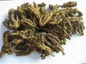 �����ķ��� �����ļ��𷽷�