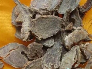 蓬莪术的功效与作用及禁忌