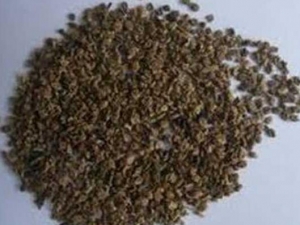 �ط��ӵĹ�Ч�����ü�����