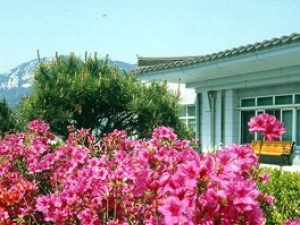 �����ڸ�����ô���� ��λ���ڸɵ�֢״