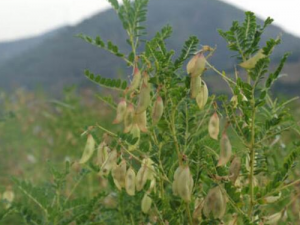 ��Ԫ���������� ��Ԫ��������Ч ��Ԫ��������������