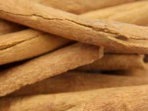 ��Ƥ����������