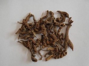 ��ڲ���ƶ�¸�������һ��Ҫ��ϸ����