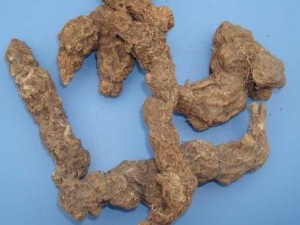 ��а���������� ��а��������Ч ��а��������������