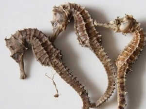 �����Ĺ�Ч�����ü�����