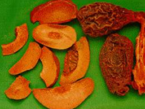 ����Ƥ�������� ����Ƥ����Ĺ�Ч