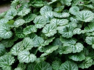 С�����ݵĹ�Ч�����ü�����