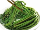 蕨菜的营养价值 蕨菜的食用方法
