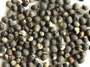 �����ӵĹ�Ч�����ü�����