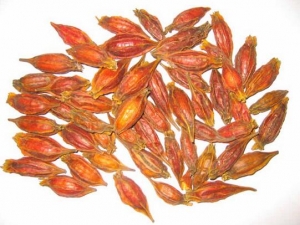 �α������ʼ崦�� �α������ʼ幦Ч �α������ʼ��������