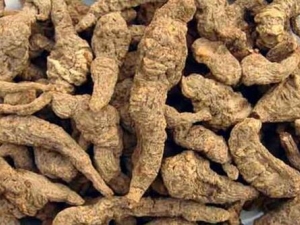 ��ζ���������� ��ζ��������Ч ��ζ��������������