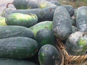 ���ϵ�Ӫ����ֵ ���ϵ�ʳ�÷���