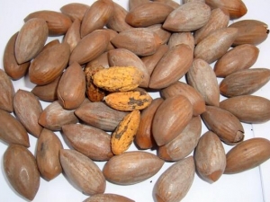 ��ӵĹ�Ч�����ü�����