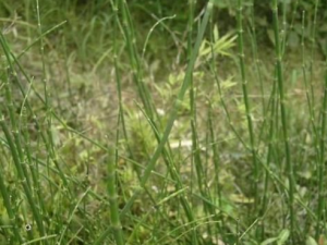 ���ʾ��Ĺ�Ч���� ���ʾ����÷�����