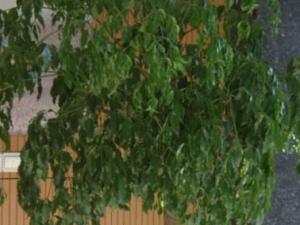 �˶�������Щ���� ��֪����