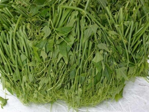 ����˵�Ӫ����ֵ ����˵�ʳ�÷���