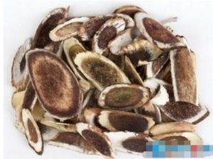 ţɤ�������Ĺ�Ч������ �ӹǰ�ŧ