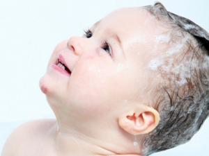 С����ʳ�����ҵ��� ����Ҳ�ܻ���С����ʳ