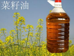 �����͵��������� �����͵Ĺ�Ч������