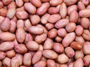 ��������Ӫ����ֵ ���������ĺô�