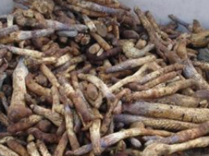 �������в�û�����źȲ��� ��Щ��ҩ��������