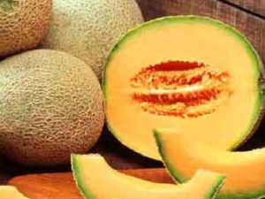 ���ܹ��ϻ��� �Թ��ܹϵĺô�