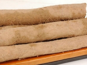 ����ɽҩ�Ĺ�Ч�����ü�����