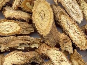 ��������� ������μ���